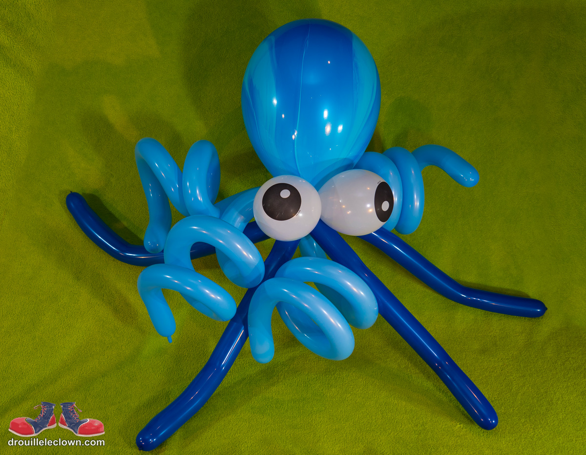 un cadeau de fête à s'offrir! Une visite de Drouille et de ses créations en ballons accompagné d'un humour désopillant! 