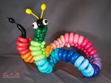 Le plein de couleurs pour vous éblouir!