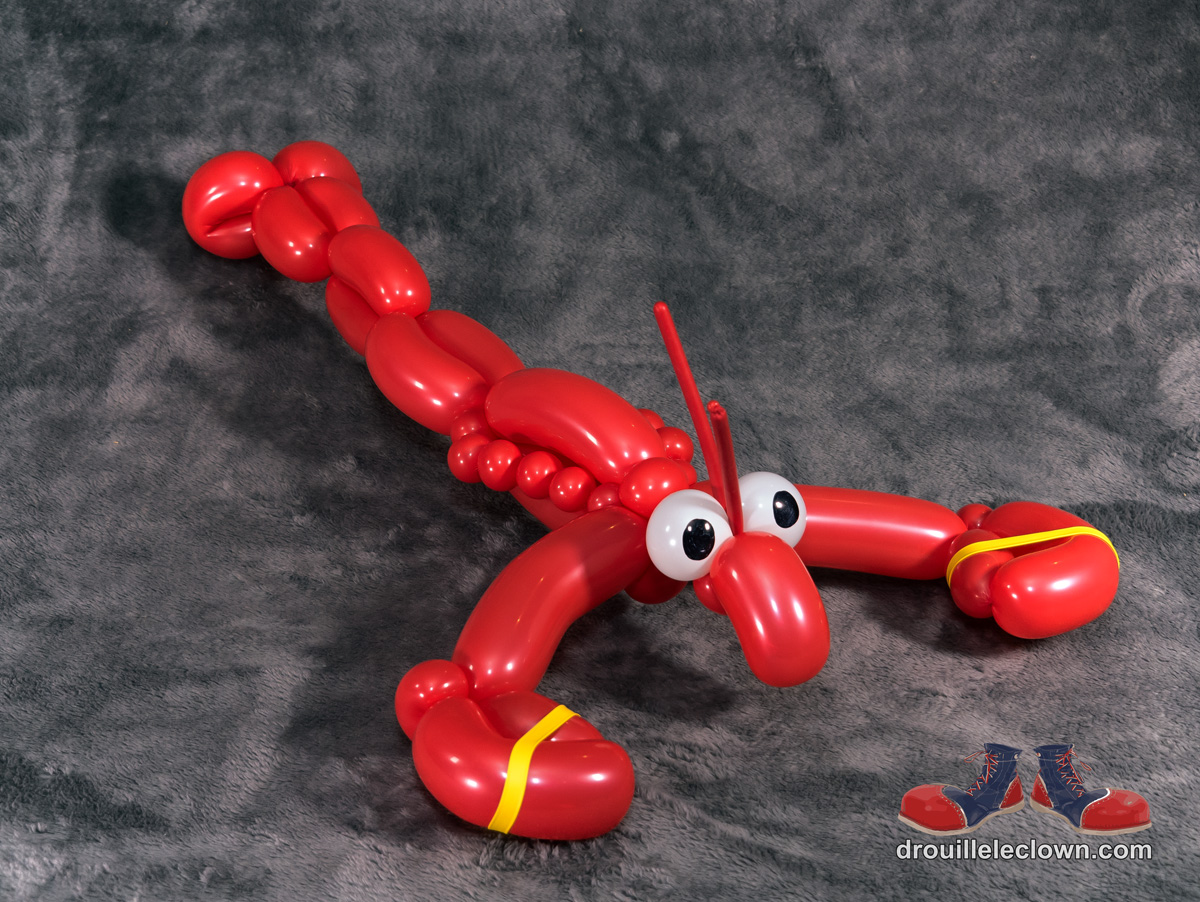 C'Est enfin la saison du homard en ballons! Un classique a déguster en famille!