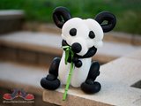 panda